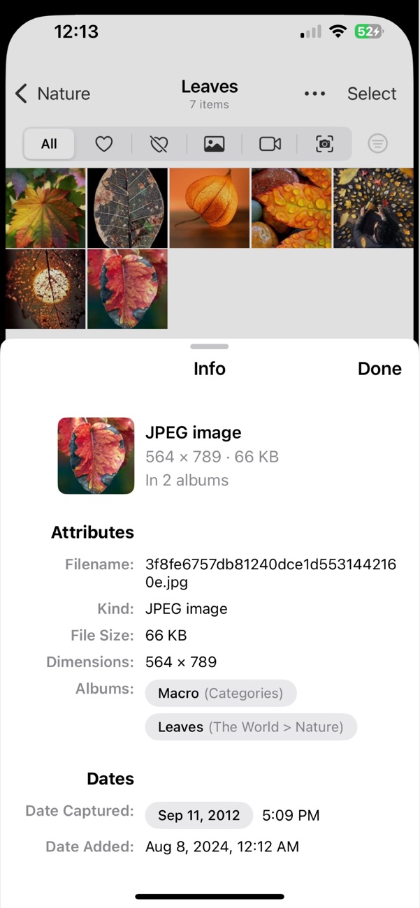 Opla photo info sheet showing image dimensions, file size, albums, and dates